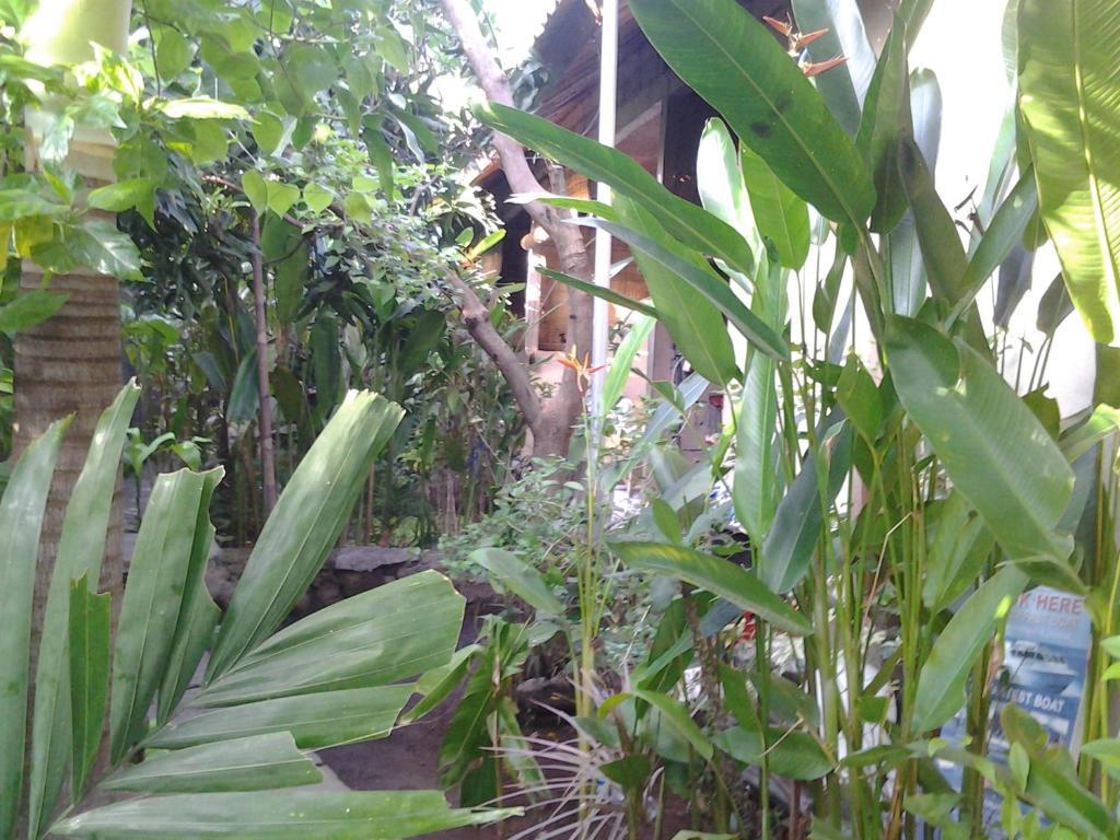 Solaluna Beach Homestay Amed Eksteriør billede